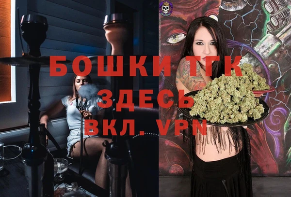 ECSTASY Заводоуковск