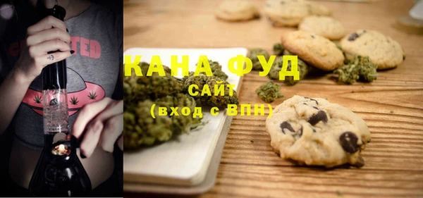индика Заволжье