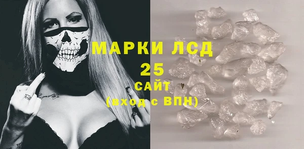 индика Заволжье