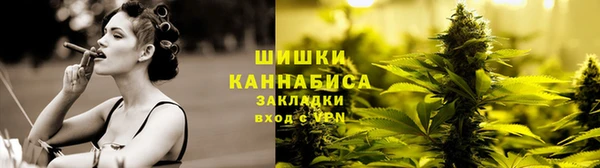 индика Заволжье