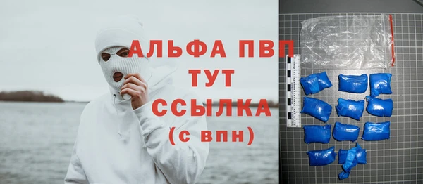 индика Заволжье