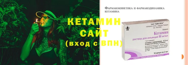 индика Заволжье