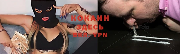индика Заволжье