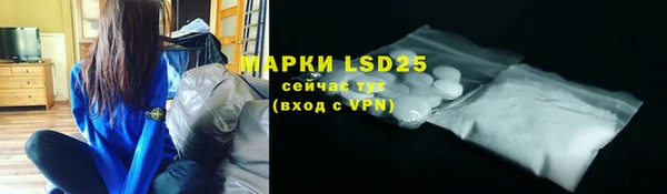 индика Заволжье