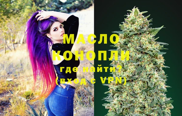 индика Заволжье