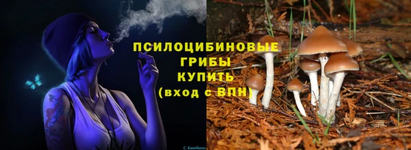 хмурый Заволжск