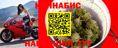 ГАЛЛЮЦИНОГЕННЫЕ ГРИБЫ Апшеронск