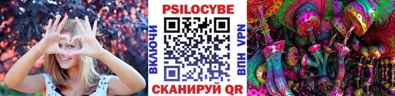 kraken как войти  Северск  Галлюциногенные грибы ЛСД 