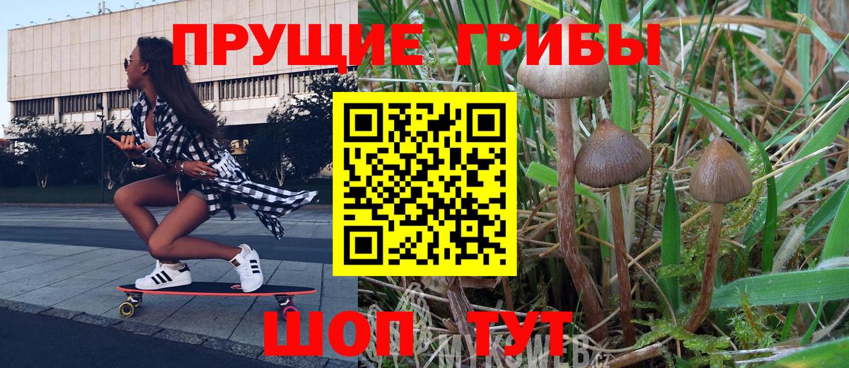 Псилоцибиновые грибы MAGIC MUSHROOMS Северск