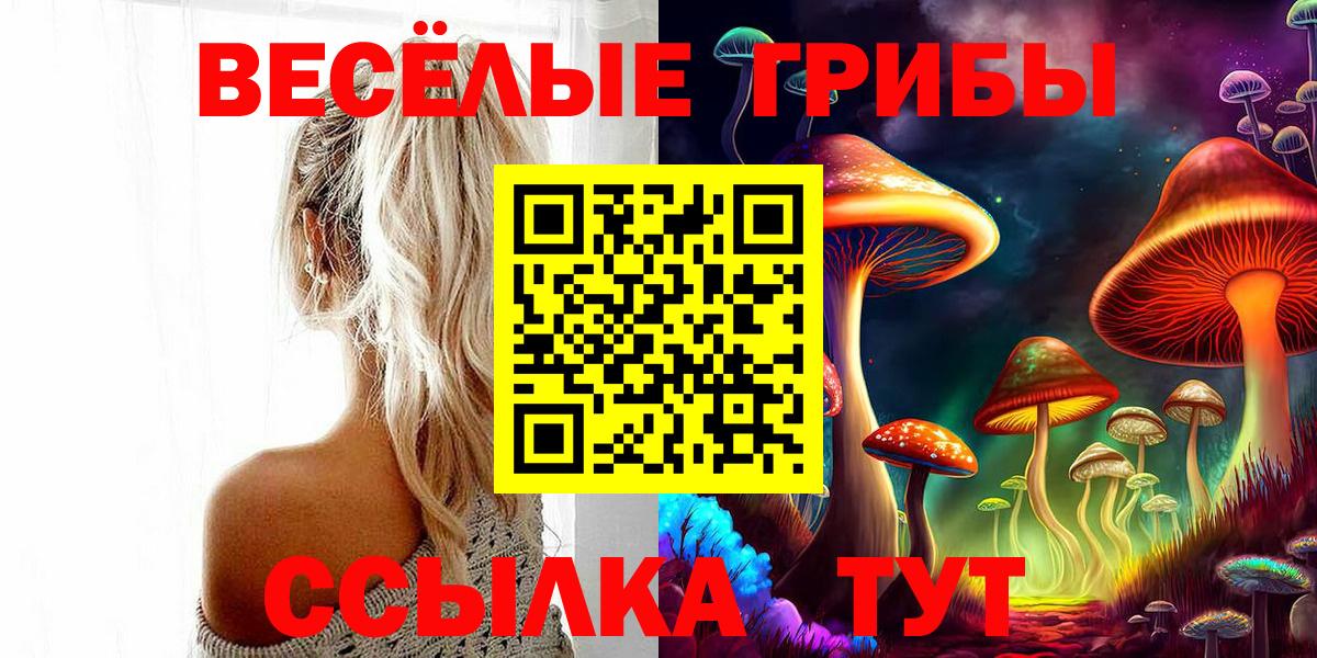Псилоцибиновые грибы Magic Shrooms  где купить наркоту  Северск 