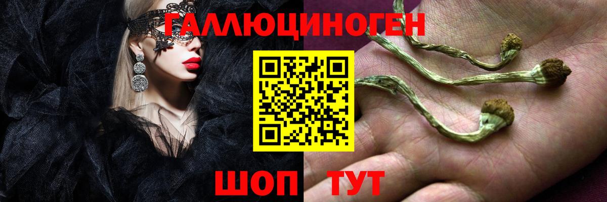 Северск  Псилоцибиновые грибы Psilocybe  Вход с VPN 